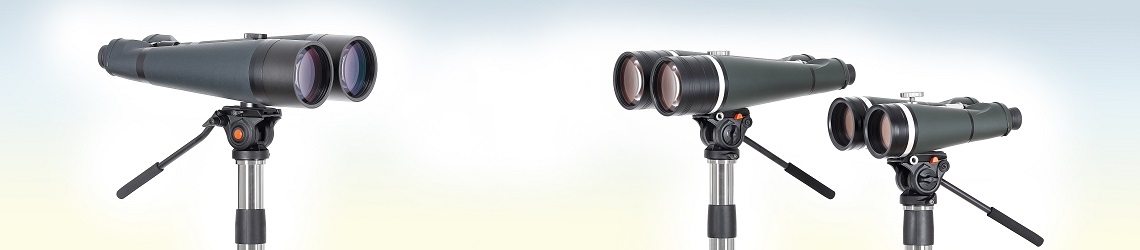 Miradores domésticos